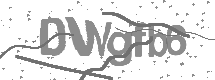 visual captcha